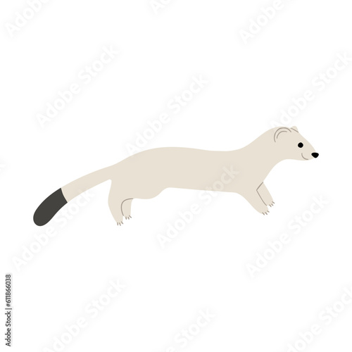 stoats,ermine and weasels single 4