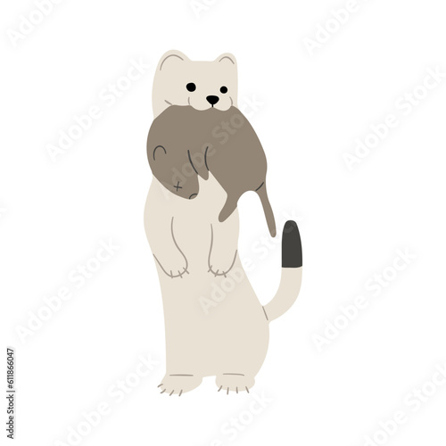 stoats,ermine and weasels single 5
