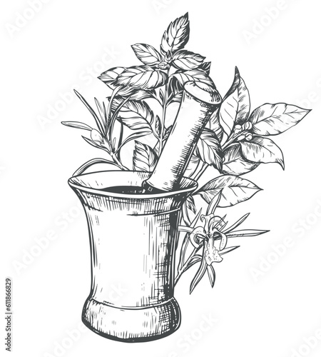 Copper mortar for grinding herbs and spices. Vector aromatic illustration: rosemary, basil, laurel. Hand sketch in engraving technique. Separate design elements in a rustic style.