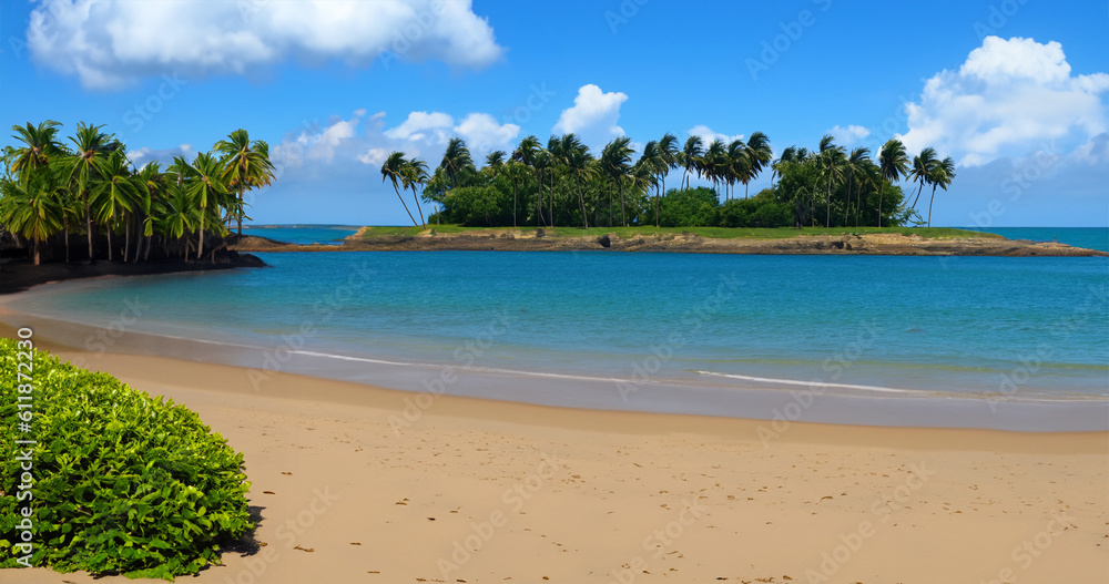 Beach and coconut tree island cloudy sky