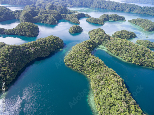 Beautiful Palau Landscape and Nature.