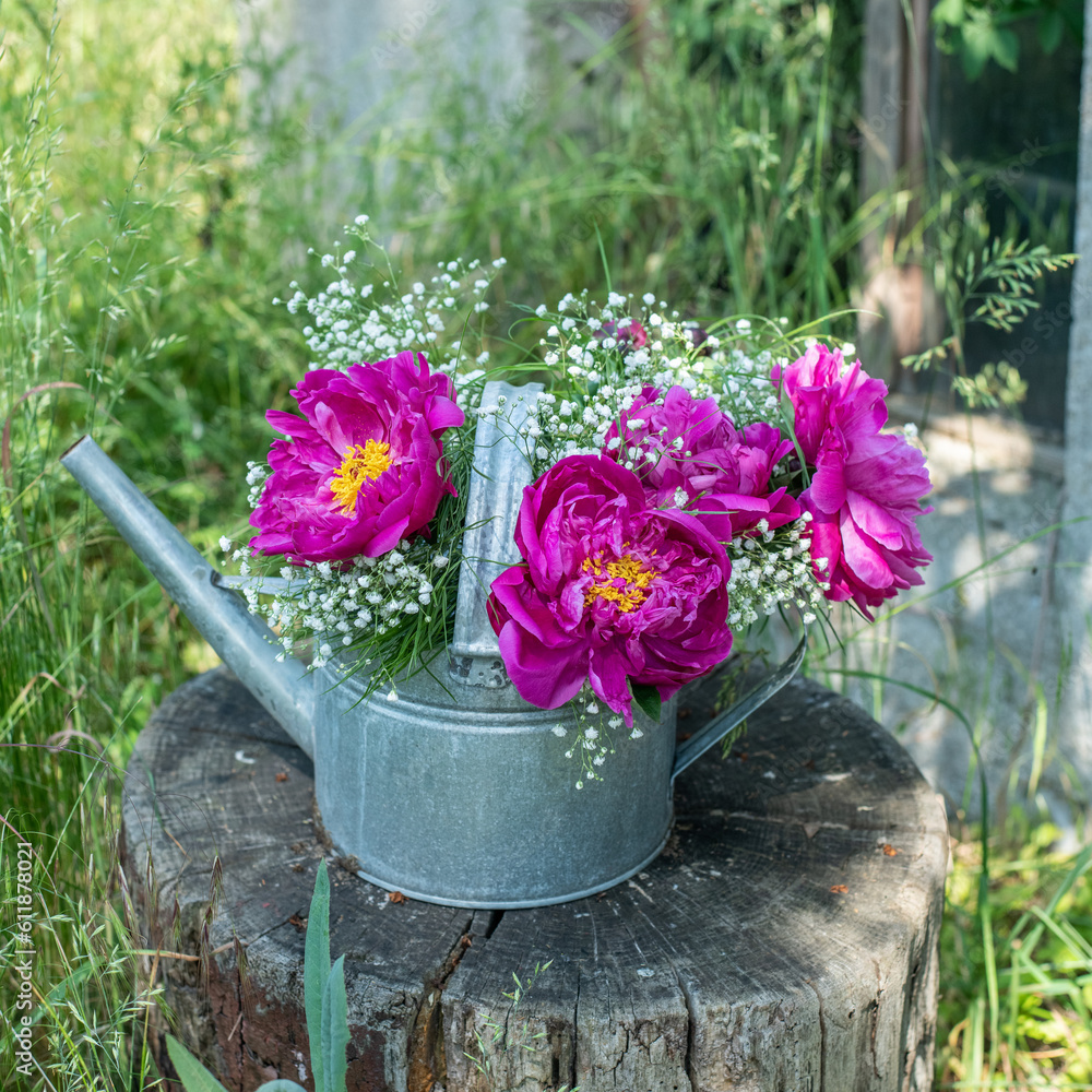 Blumenstrauß mit pinken Pfingstrosen und Schleierkraut, frische Blumen dekoriert in einer alten Vintage Gießkanne aus Metall, Landhaus Dekoration, Bauerngarten Blumenstrauß mit pinken Pfingstrosen und Schleierkraut, frische Blumen dekoriert in einer alten Vintage Gießkanne aus Metall, Landhaus Dekoration, Bauerngarten