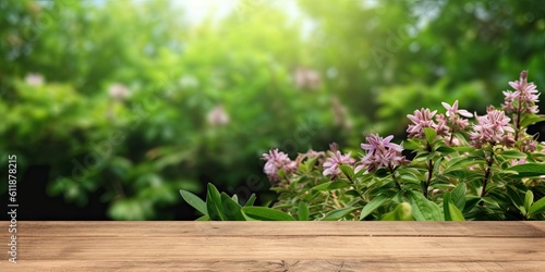 Abstract beautiful garden table setting with nature s delights and flowers. Background for summer