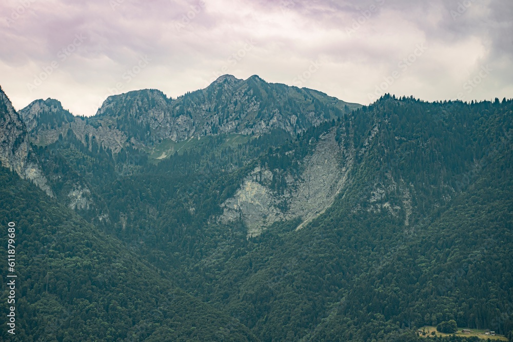 Naklejka premium landscape in the beautiful morning
