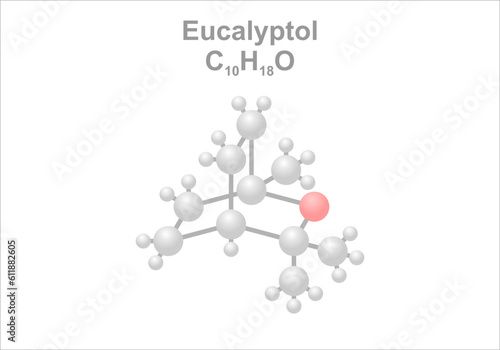 Simplified scheme of the eucalyptol molecule. photo