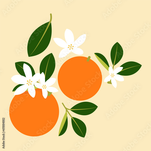 Colorful cartoon fruit icon. Orange. Summer fresh fruit vector illustration