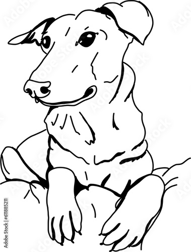Outline vector illustration of a lying dog (ID: 611885211)