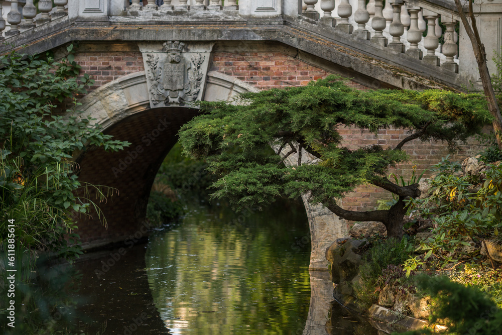 Fototapeta premium old stone bridge in autumn