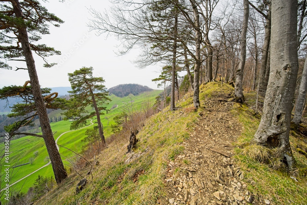 ridge hike on the vogelberg in the canton of solothurn in switzerland. ridge hike on the vogelberg in the canton of solothurn in switzerland.