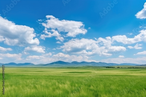 Serene Panoramic Landscape: Green Grass Field, Blue Sky, and Majestic Mountains