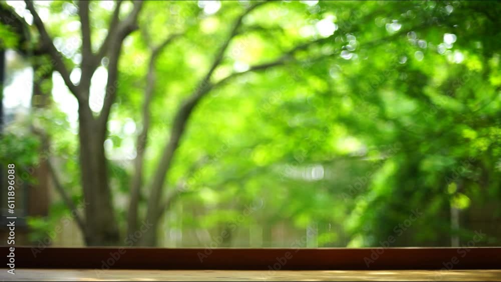 新緑の庭を背景に走る黒猫 新緑の庭を背景に走る黒猫