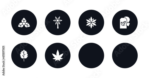 symbol for mobile filled icons set. filled icons such as bougainvillea, hypericum, astrantia, carnation, green tea, protea, peppermint, hemp vector.