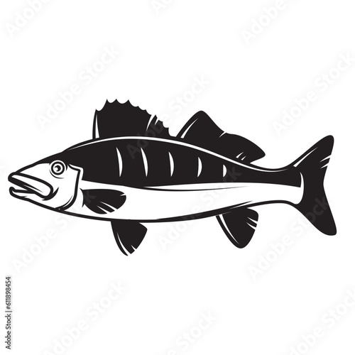 Illustration of pikeperch fish. Design elements