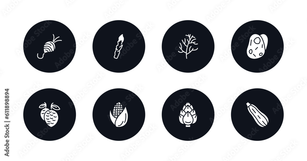 symbol for mobile filled icons set. filled icons such as tuber, asparagus, dill, potatoes, lychee, corn, artichoke, zucchini vector. symbol for mobile filled icons set. filled icons such as tuber, asparagus, dill, potatoes, lychee, corn, artichoke, zucchini vector.