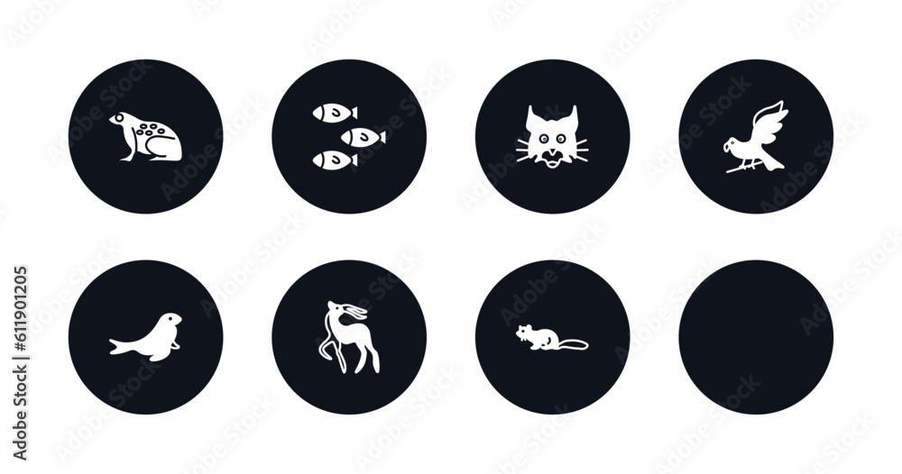 symbol for mobile filled icons set. filled icons such as tropical frop, nymphicus hollandicus, shoal, lynx, hawk, sea lion, gazelle, marten vector. symbol for mobile filled icons set. filled icons such as tropical frop, nymphicus hollandicus, shoal, lynx, hawk, sea lion, gazelle, marten vector.