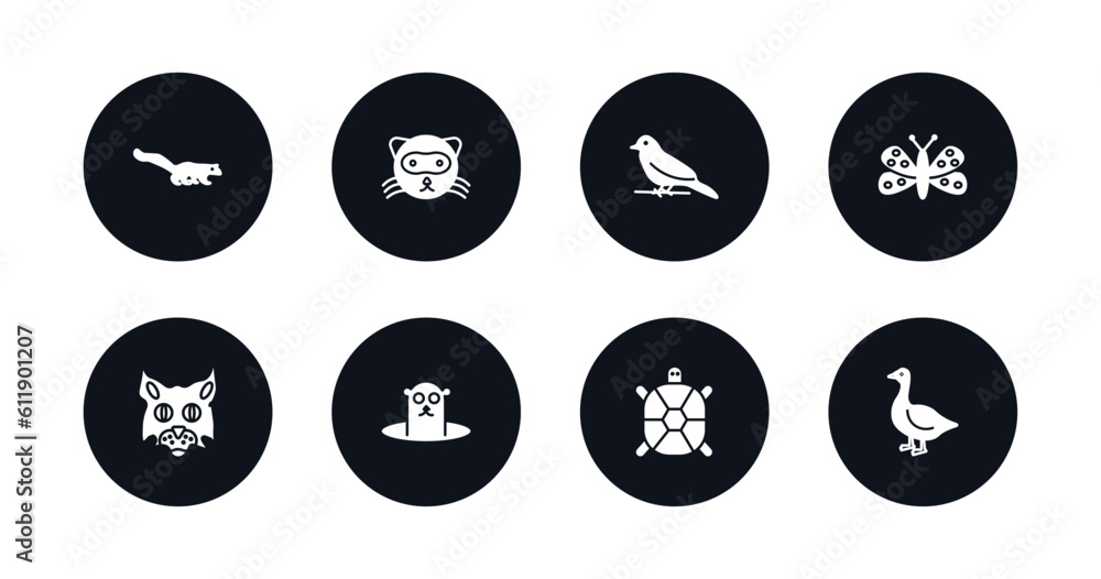 symbol for mobile filled icons set. filled icons such as mongoose, ferret, canary, moth, pallas cat, groundhog, tortoise, goose vector. symbol for mobile filled icons set. filled icons such as mongoose, ferret, canary, moth, pallas cat, groundhog, tortoise, goose vector.
