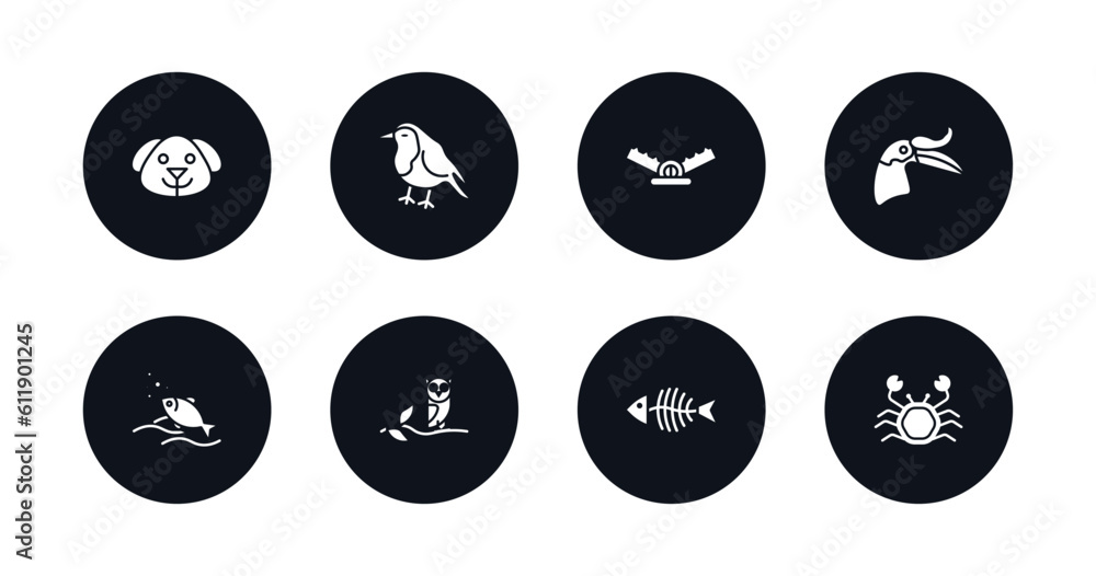 symbol for mobile filled icons set. filled icons such as dog head, robin, trap, hornbill, fishes in the ocean, wise, fish bones, crab vector. symbol for mobile filled icons set. filled icons such as dog head, robin, trap, hornbill, fishes in the ocean, wise, fish bones, crab vector.