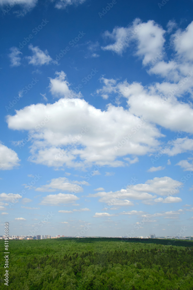 The clear air allowed for a stunning view of the large cumulus clouds floating high up in the sky. The clear air allowed for a stunning view of the large cumulus clouds floating high up in the sky.