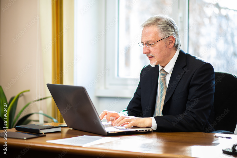 Smiling businessman in his office Smiling businessman in his office