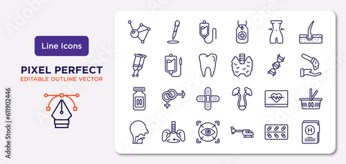 medical outline icons set. thin line icons such as molecular configuration, nutrionist, molar tooth, pills jar, heart rate monitor, eye scanner medical, cure, medical results folders vector.