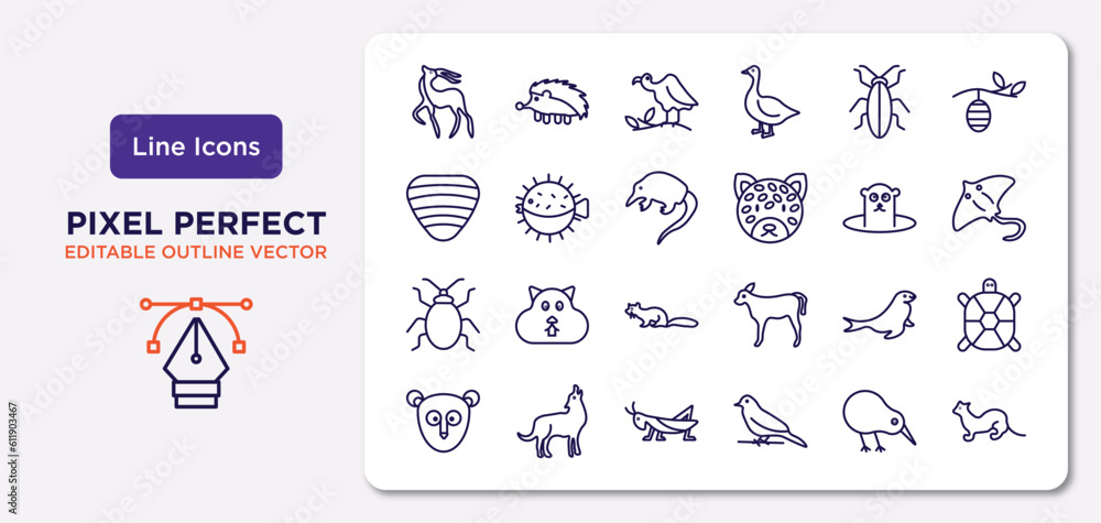 animals outline icons set. thin line icons such as gazelle, cockroach, desman, bedbug, sea lion, grasshopper, kiwi bird, polecat vector.