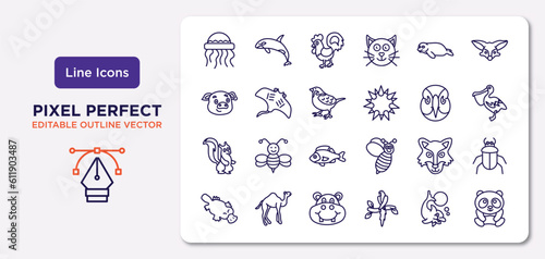animals outline icons set. thin line icons such as medusa, seal, sparrow, skunk, wolf, hippopotamus, dolphin jumping, panda vector.