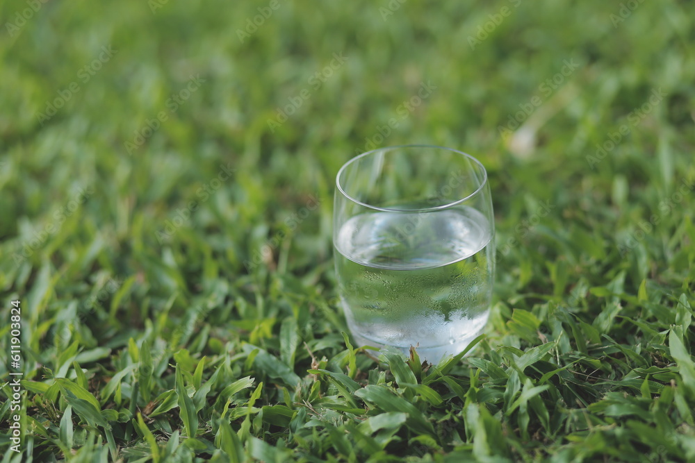a glass of water with ice on nature background... a glass of water with ice on nature background...
