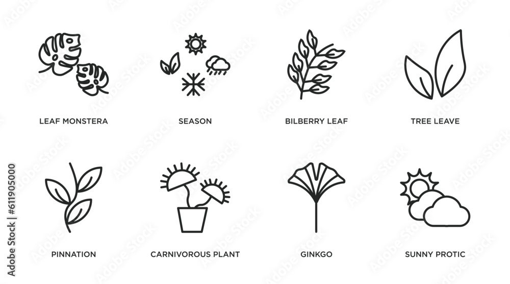 nature outline icons set. thin line icons such as leaf monstera, season, bilberry leaf, tree leave, pinnation, carnivorous plant, ginkgo, sunny protic vector. nature outline icons set. thin line icons such as leaf monstera, season, bilberry leaf, tree leave, pinnation, carnivorous plant, ginkgo, sunny protic vector.