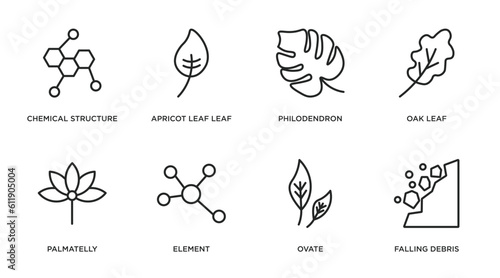 nature outline icons set. thin line icons such as chemical structure, apricot leaf leaf, philodendron, oak leaf, palmatelly, element, ovate, falling debris vector.