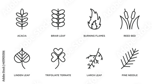 nature outline icons set. thin line icons such as acacia, briar leaf, burning flames, reed bed, linden leaf, trifoliate ternate, larch leaf, pine needle vector.