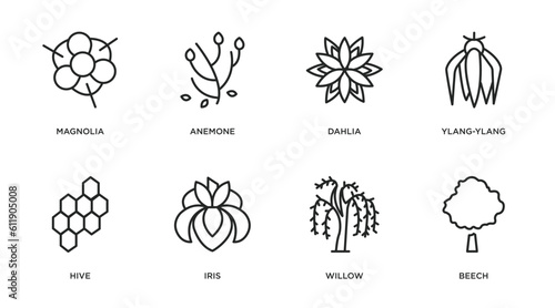 nature outline icons set. thin line icons such as magnolia, anemone, dahlia, ylang-ylang, hive, iris, willow, beech vector.