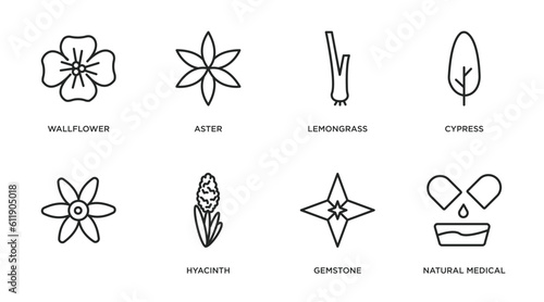 nature outline icons set. thin line icons such as wallflower, aster, lemongrass, cypress, , hyacinth, gemstone, natural medical pills vector. photo