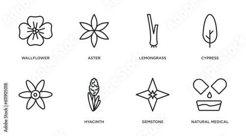nature outline icons set. thin line icons such as wallflower, aster, lemongrass, cypress, , hyacinth, gemstone, natural medical pills vector.