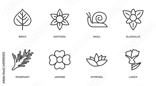 nature outline icons set. thin line icons such as birch, daffodil, snail, gladiolus, rosemary, jasmine, nymphea, larch vector.
