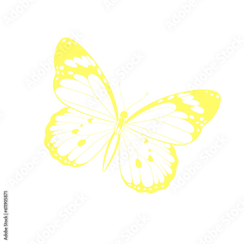 butterfly