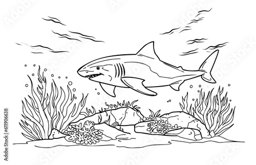 Coloring page shark. Coloring page life in the ocean with algae.