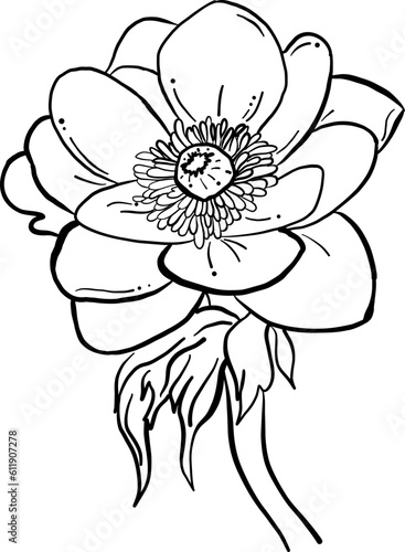 illustration of a flower