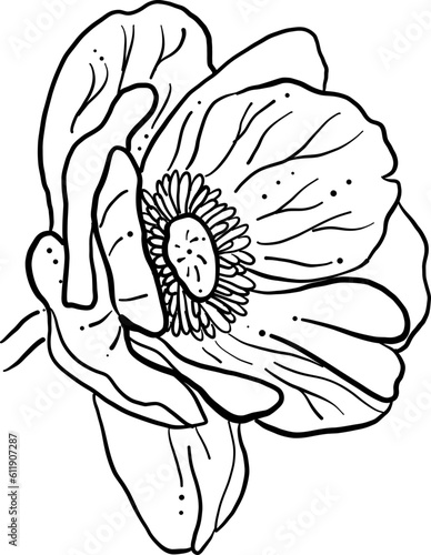 hand drawn flower