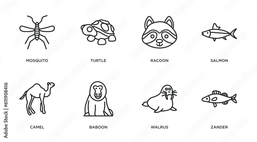 animals outline icons set. thin line icons such as mosquito, turtle, racoon, salmon, camel, baboon, walrus, zander vector.