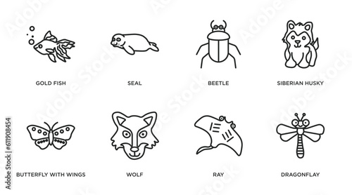 animals outline icons set. thin line icons such as gold fish, seal, beetle, siberian husky, butterfly with wings, wolf, ray, dragonflay vector.