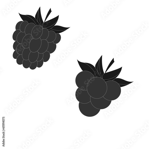 vector graphic. berry mockup.
big blackberry and little blackberry