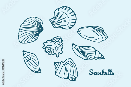 Doodle seashells set. Various sea shells types. Hand drawn vector illustration. Best for using in nautical and marine themed design