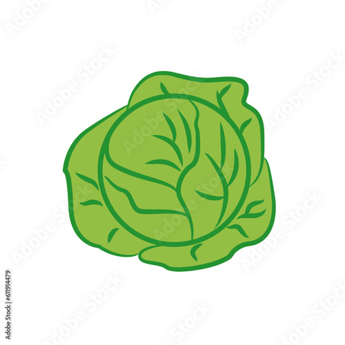 Bright vector illustration of colorful cabbage isolated on white background. Simple cartoon illustration of green fresh vegetable. Cauliflower head. The concept of vegetables  farming  gardening