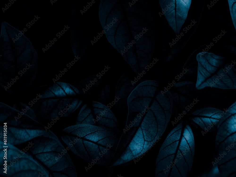 Beautiful abstract blue flowers on black background, light purple flower frame, blue leaves texture, dark background, flowers for Christmas and valentines day, love theme blue leaves texture - obrazy, fototapety, plakaty 