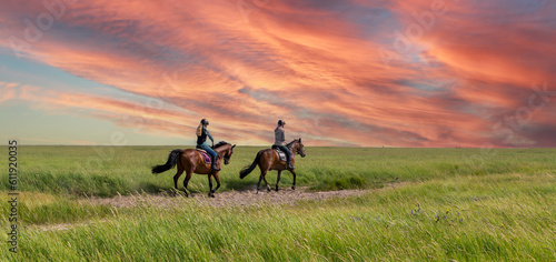Horseback riding in the salt marshes North Sea © Animaflora PicsStock