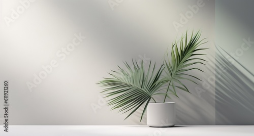 Blank clean polished gray wall and floor  green palm tree in white pot in dappled sunlight  shadow for luxury interior design decoration  product display background  Generative ai