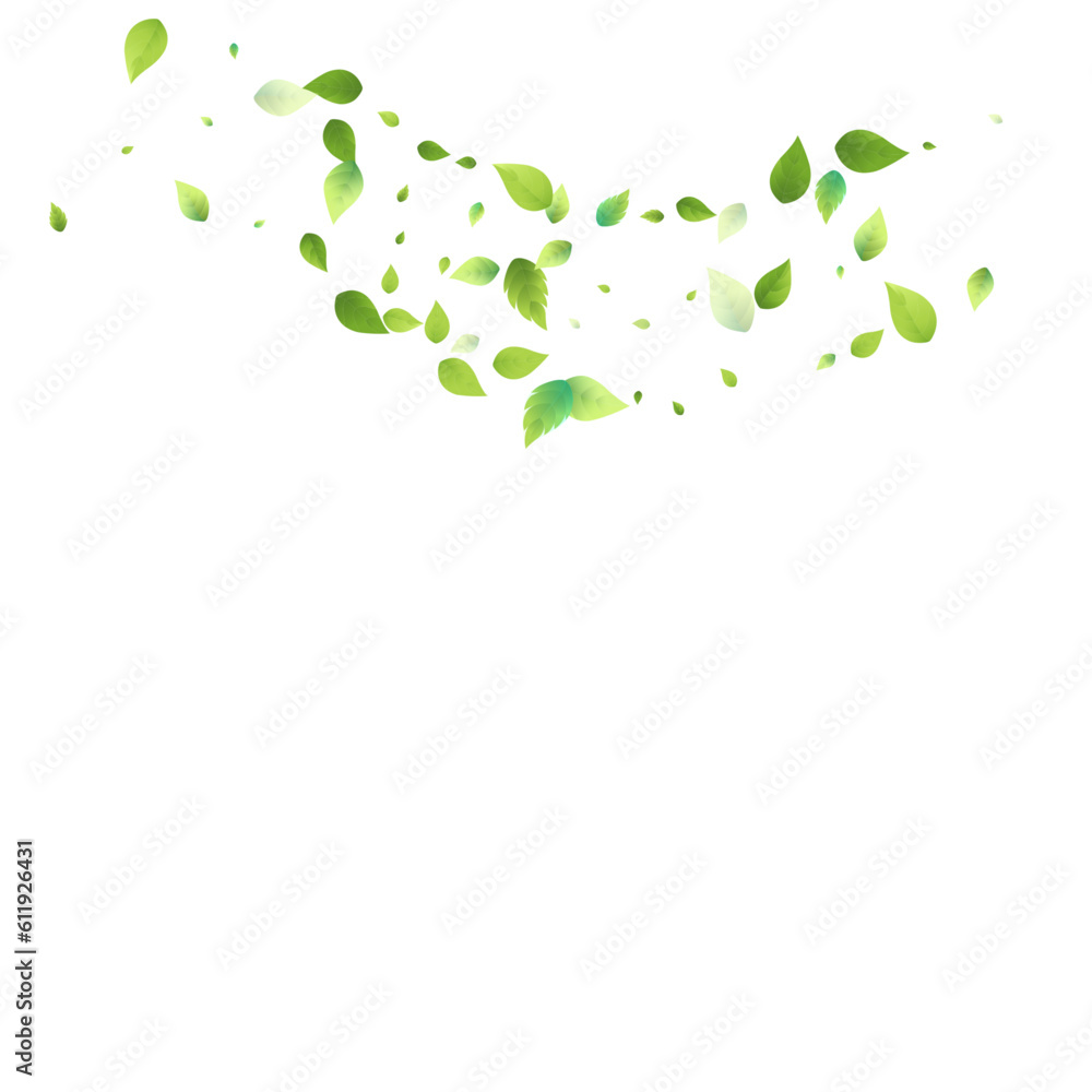 Leaves Green Falling Flying Foliage Leaf Tea Mint Leaves Green Falling Flying Foliage Leaf Tea Mint