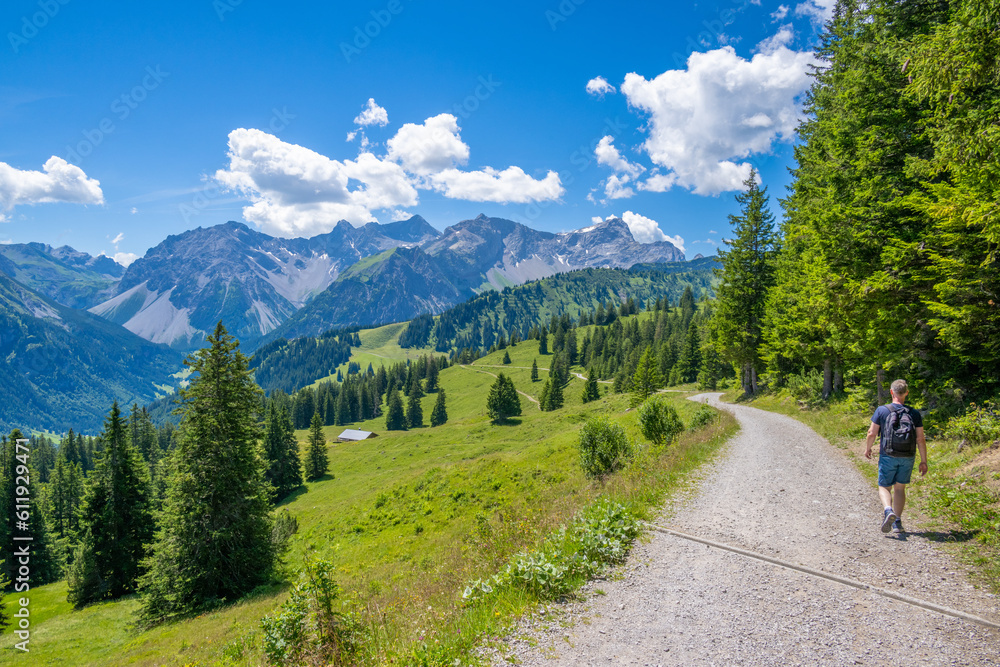 Fototapeta premium On the way to Innere Parpfienzalpe in the Brandnertal, State of Vorarlberg, Austria