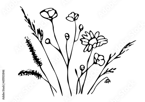 Wild meadow herbs and flowers. Botanical black vector illustration in doodle style isolated on white. Hand drawn floral elements