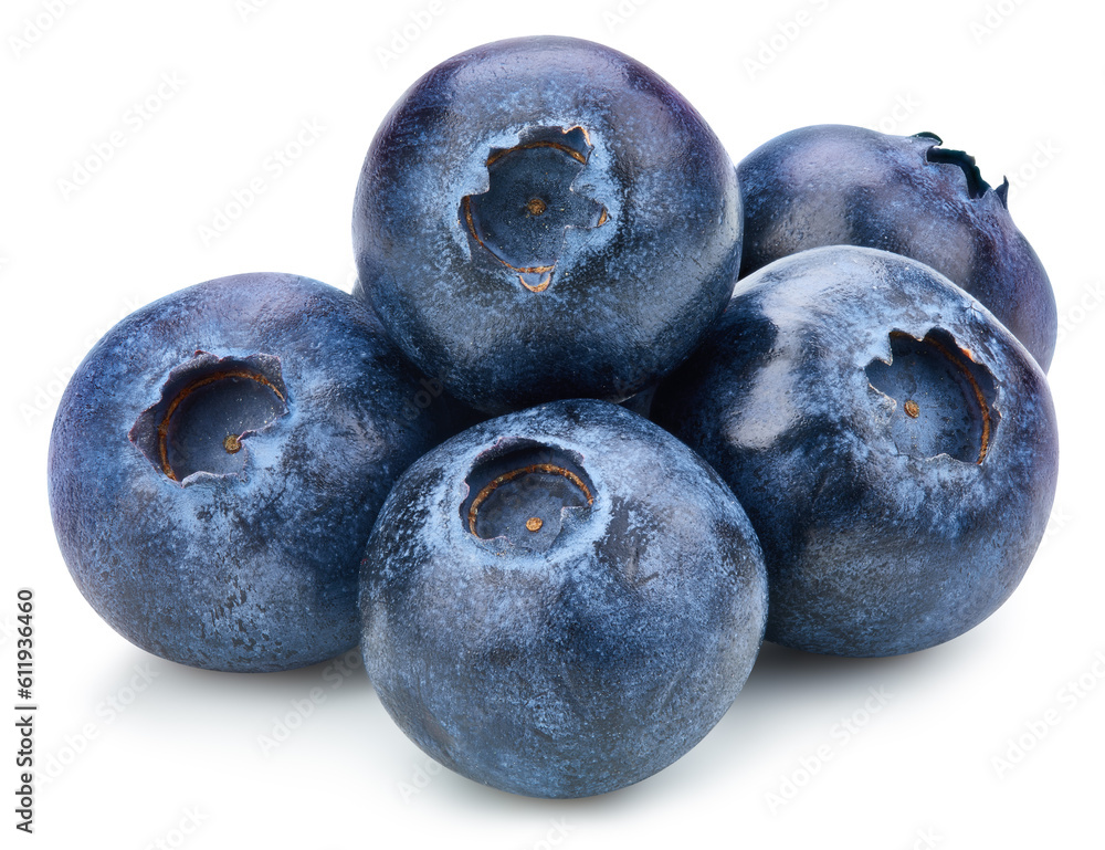 Obraz premium Blueberry Isolated with clipping path